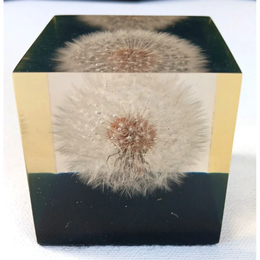 Vintage Dandelion Lucite Resin Cube Paperweight  Shoreline 2 3/8